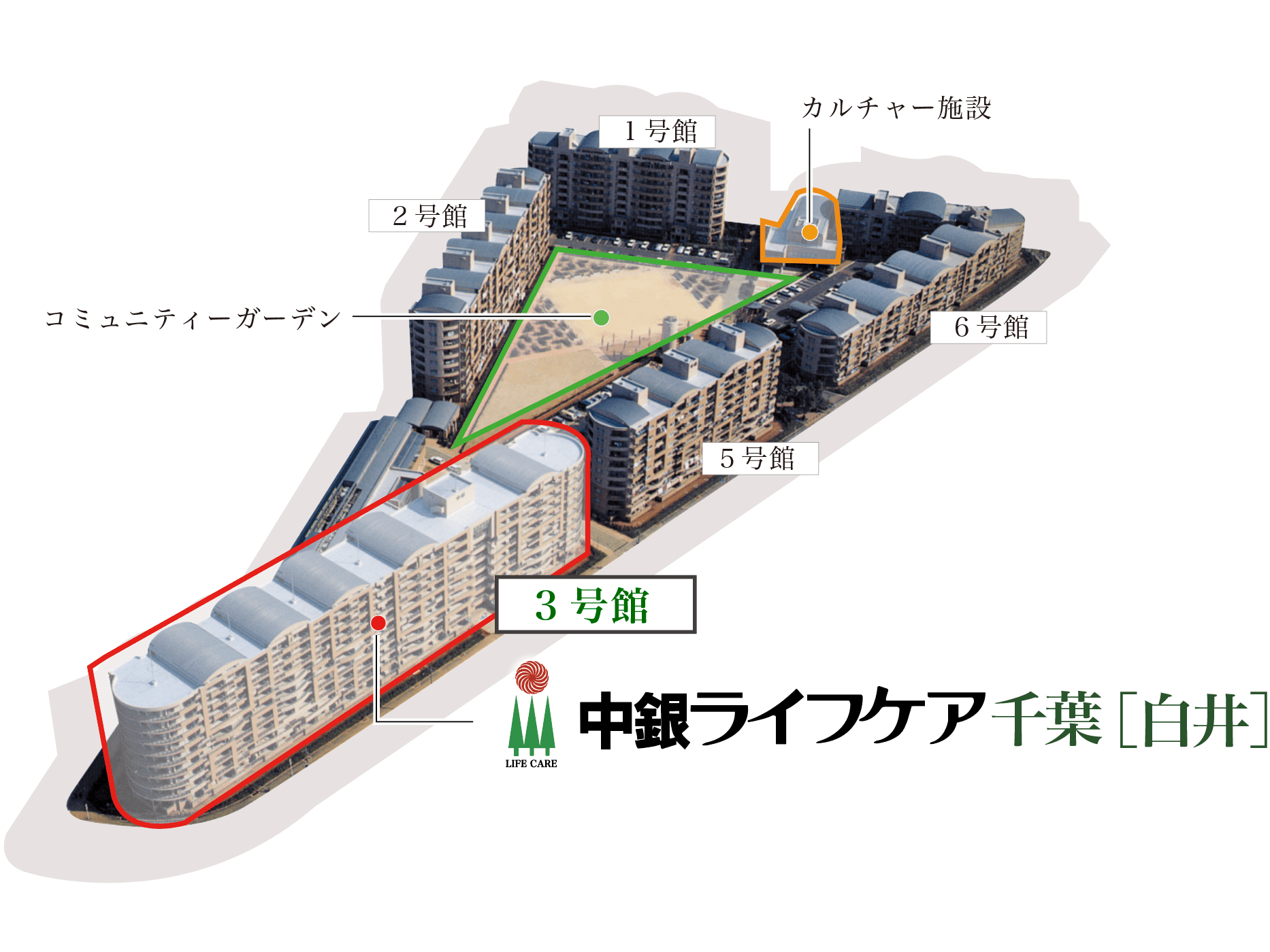 白井