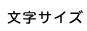 文字サイズ
