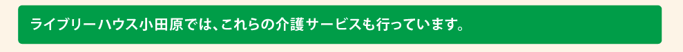 ライブリーハウス小田原では、以下の介護サービスも行っています。